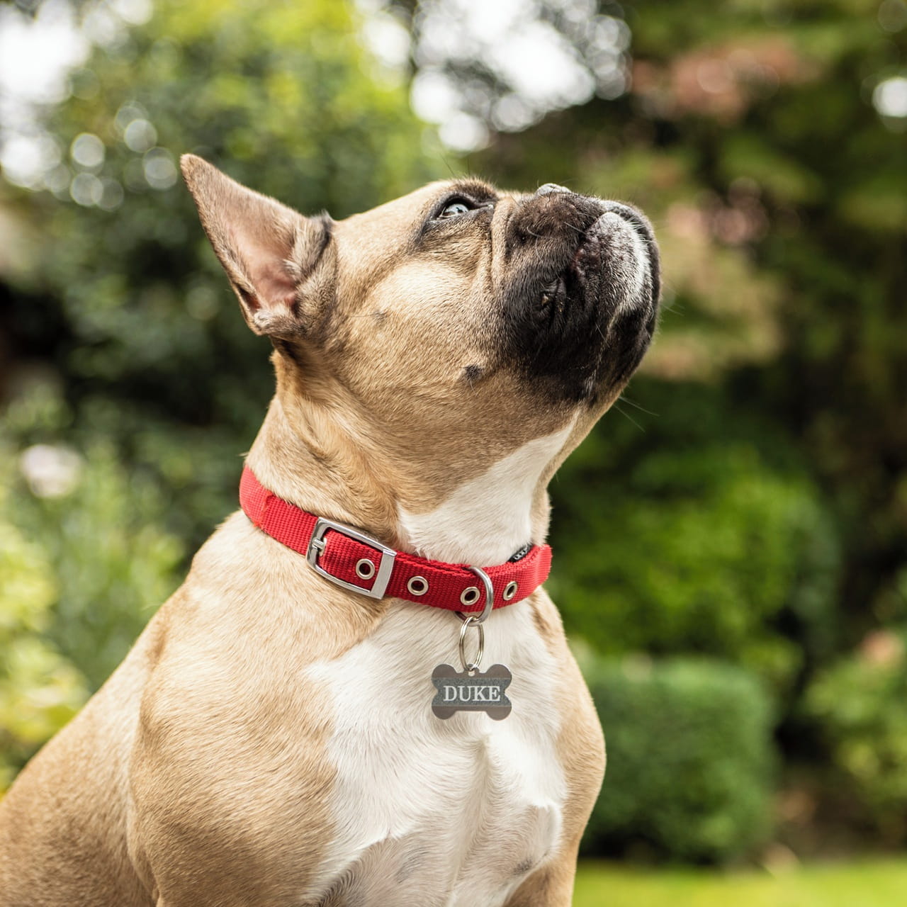 Brother TZe-PR935 Label Printer (Label Maker) Supply & Accessory 7