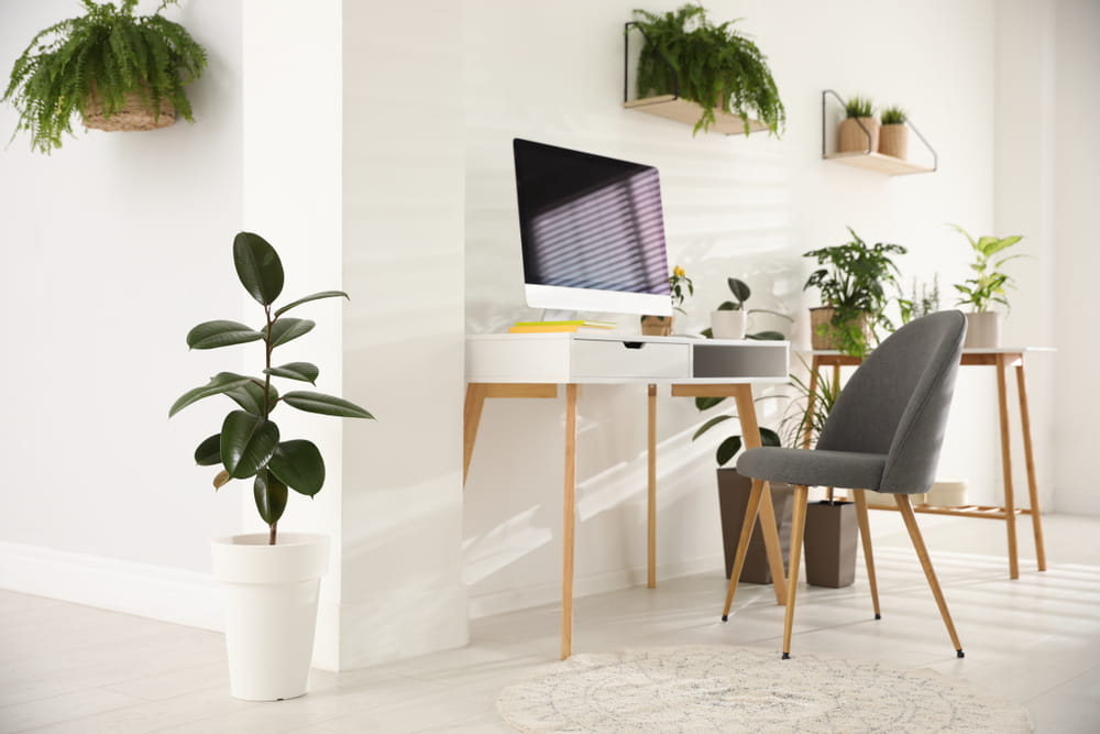 A working from home station with desk, chair, plants and natural light.