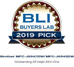 BLi Winter Pick 2019 Award Logo
