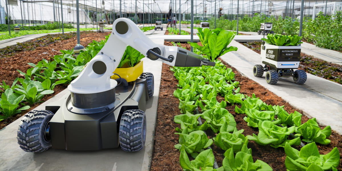 Robotics using AI to maintain crops in an enclosed facility