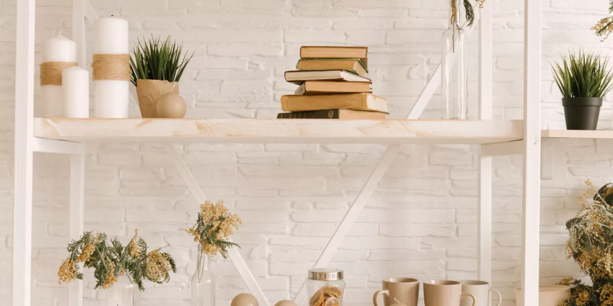 Wooden bookshelves with hardcover books and pot plants