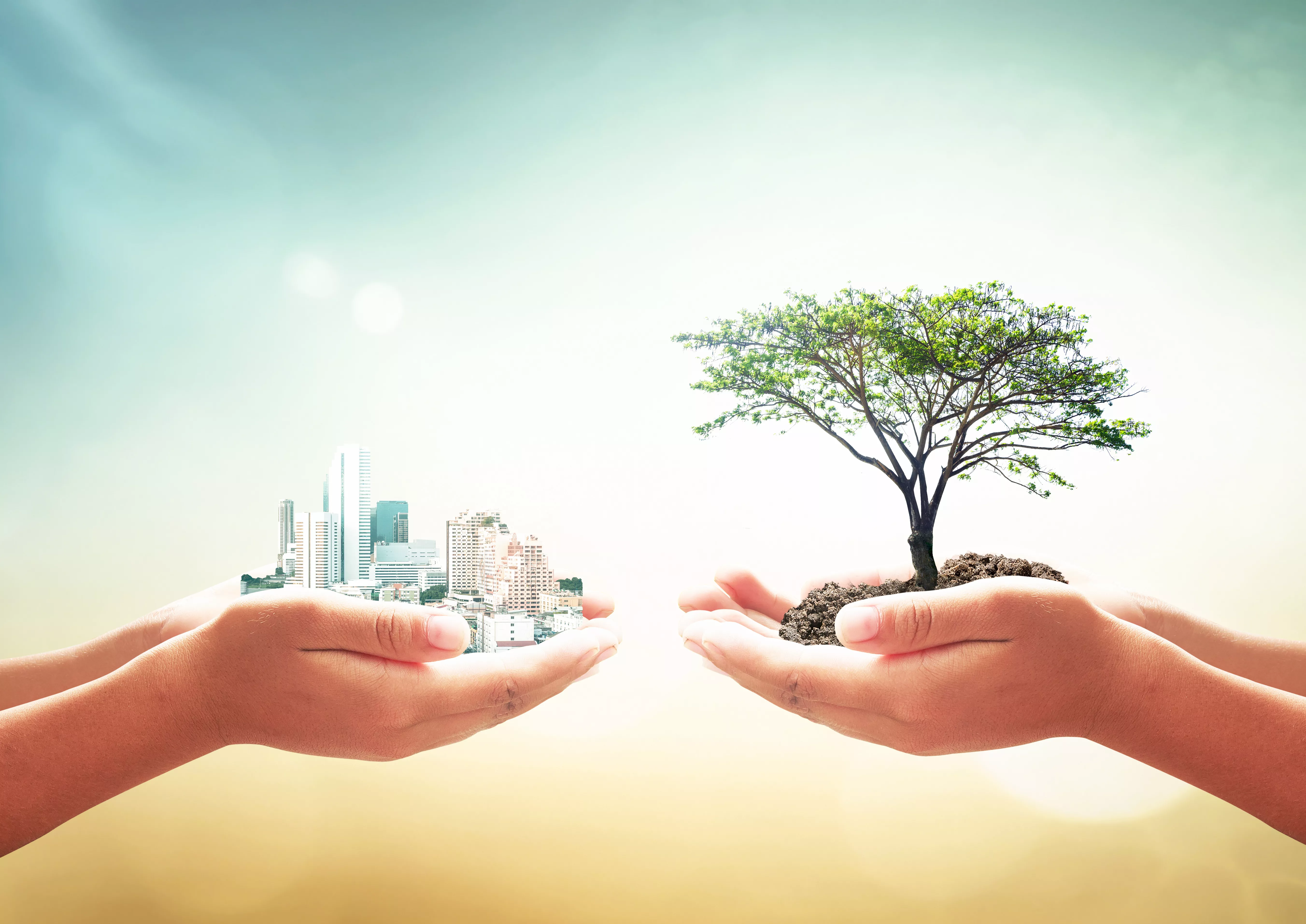 Sustaining Office Sustainability