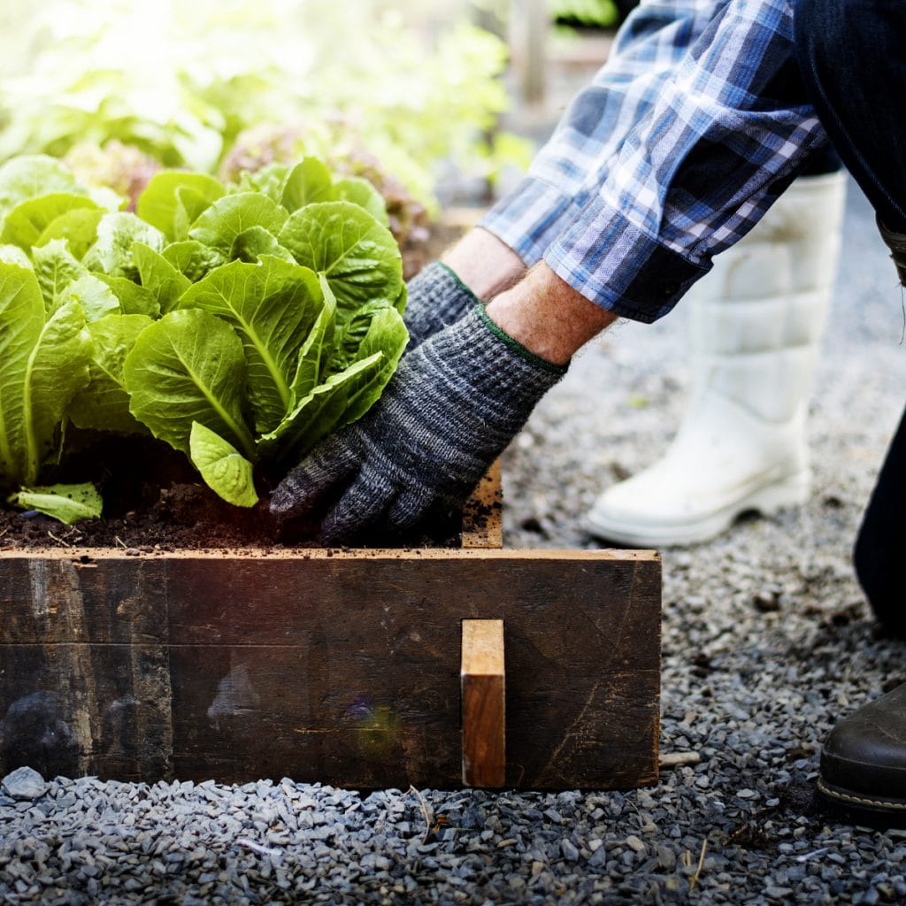 Gardening