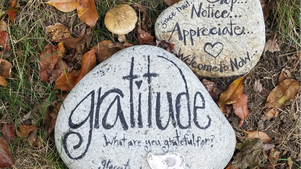 Working from Home Tip: Gratitude