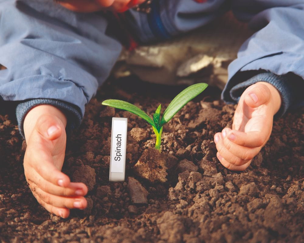 How to use waterproof labels at home or on the job