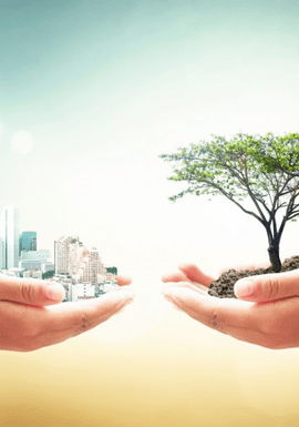 sustaining-office-sustainability