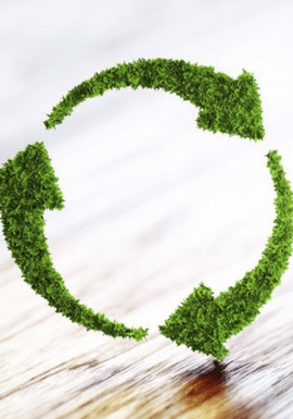 a-comprehensive-guide-to-workplace-sustainability/workplace-sustainability