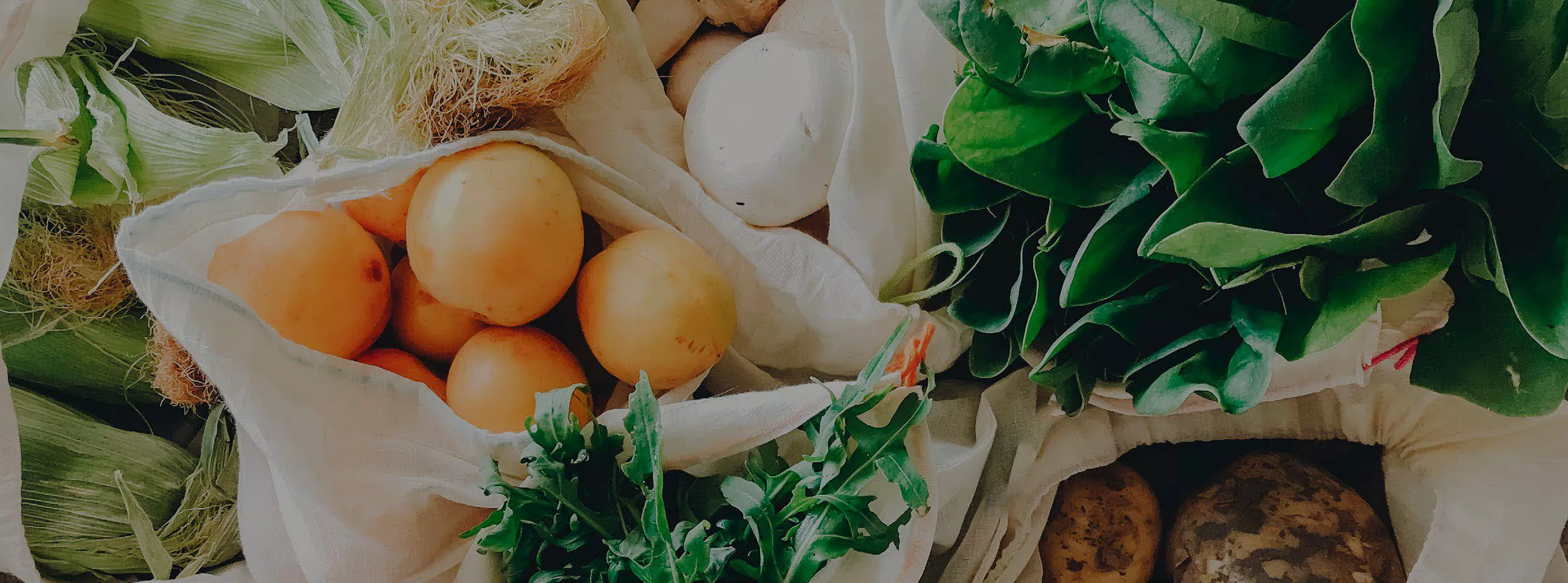 Brother-food-traceability