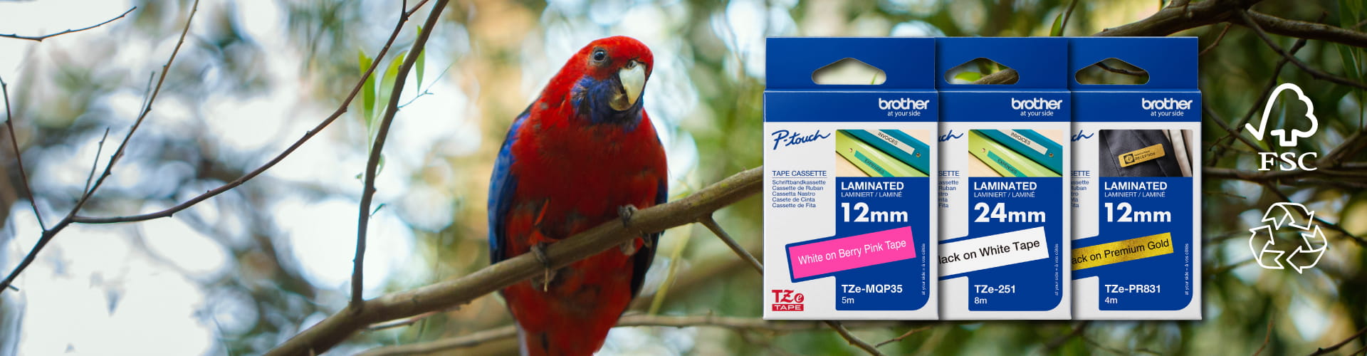 banner with bird sitting on branch along side new brother tze tape packaging