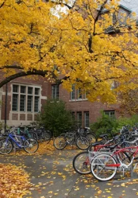 Brother-visitor-management-system