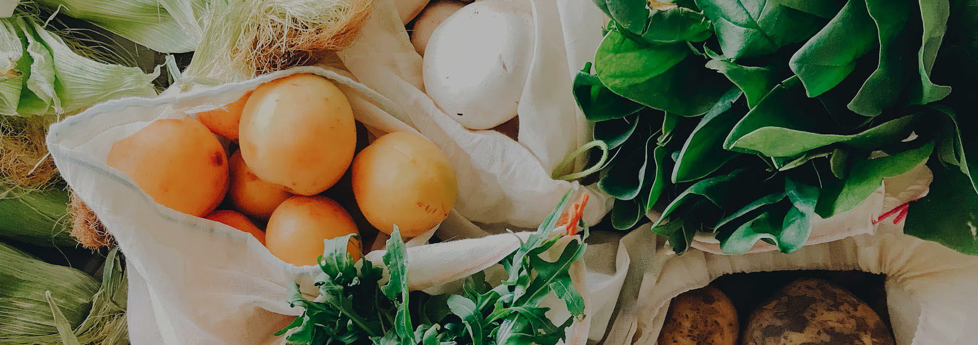 Brother-food-traceability