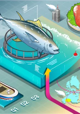 Food Traceability
