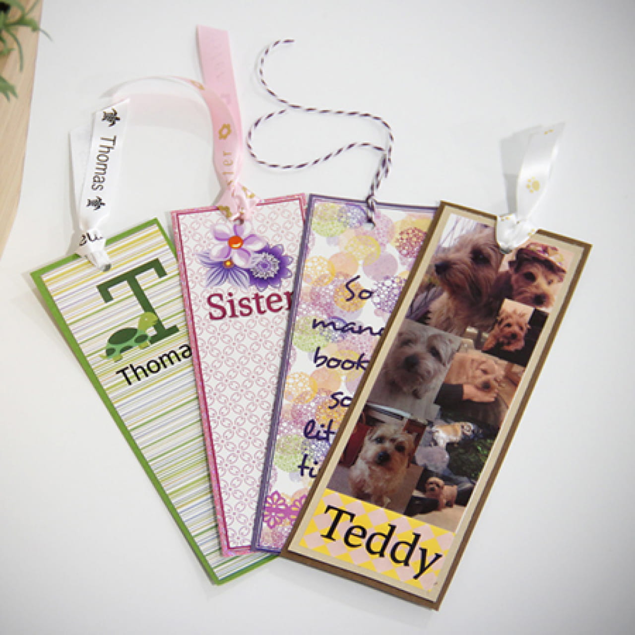 Brother CZ-1005 Genuine Label Printer (Label Maker) Roll 5