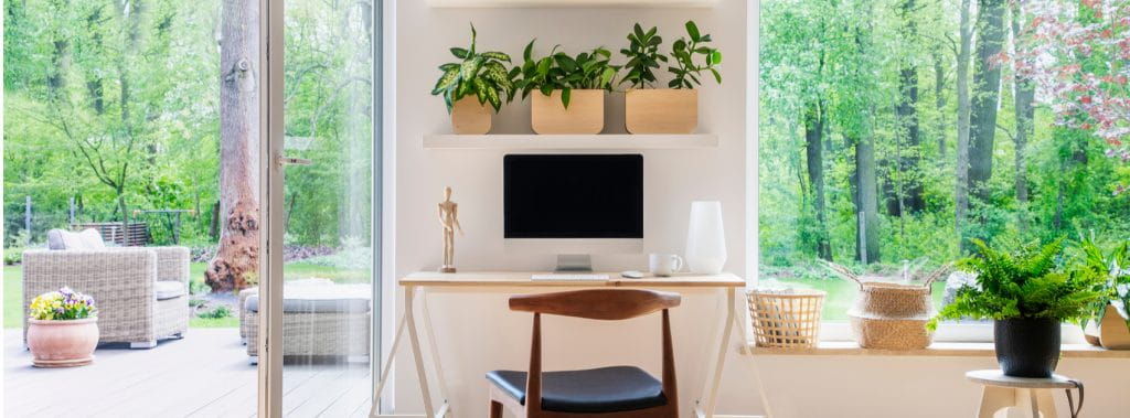 An open floor WFH office setup with plants and natural light. 