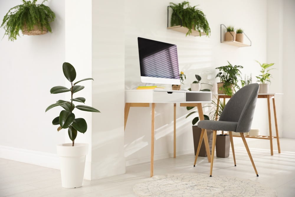 A modern home office with a chic desk and chair with plants and plenty of natural light.
